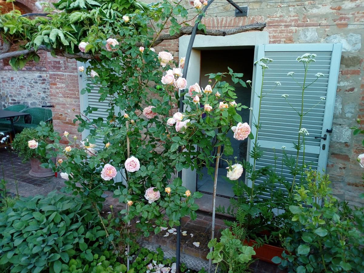 Giardino Luchetti Città della Pieve Exterior photo