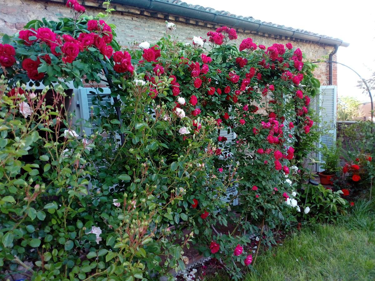 Giardino Luchetti Città della Pieve Exterior photo